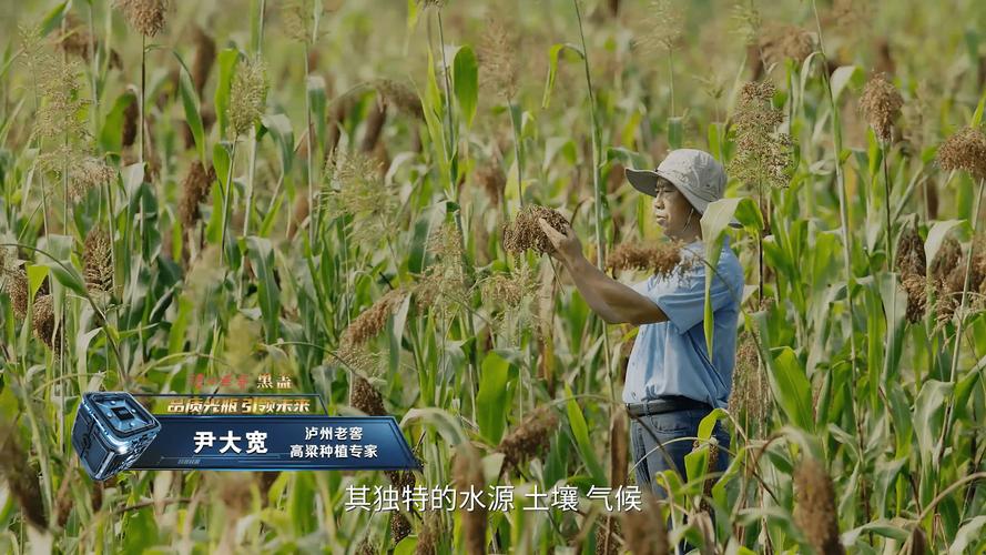 以智能科技赋能传统技艺 泸州老窖迈向智能化酿造之路